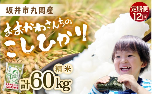 令和7年産 定期便 12ヶ月連続お届け おおかわさんちのコシヒカリ 5kg × 12回 計60kg こしひかり 白米 米 お米 5キロ 精米 ブランド米 ごはん ご飯 おいしい 人気 産地直送 国産 [J-10802]