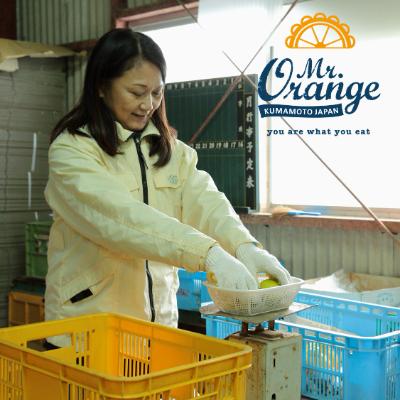 ふるさと納税 水俣市 環境マイスターと七面鳥が育てた「レモン」約3kg |  | 03