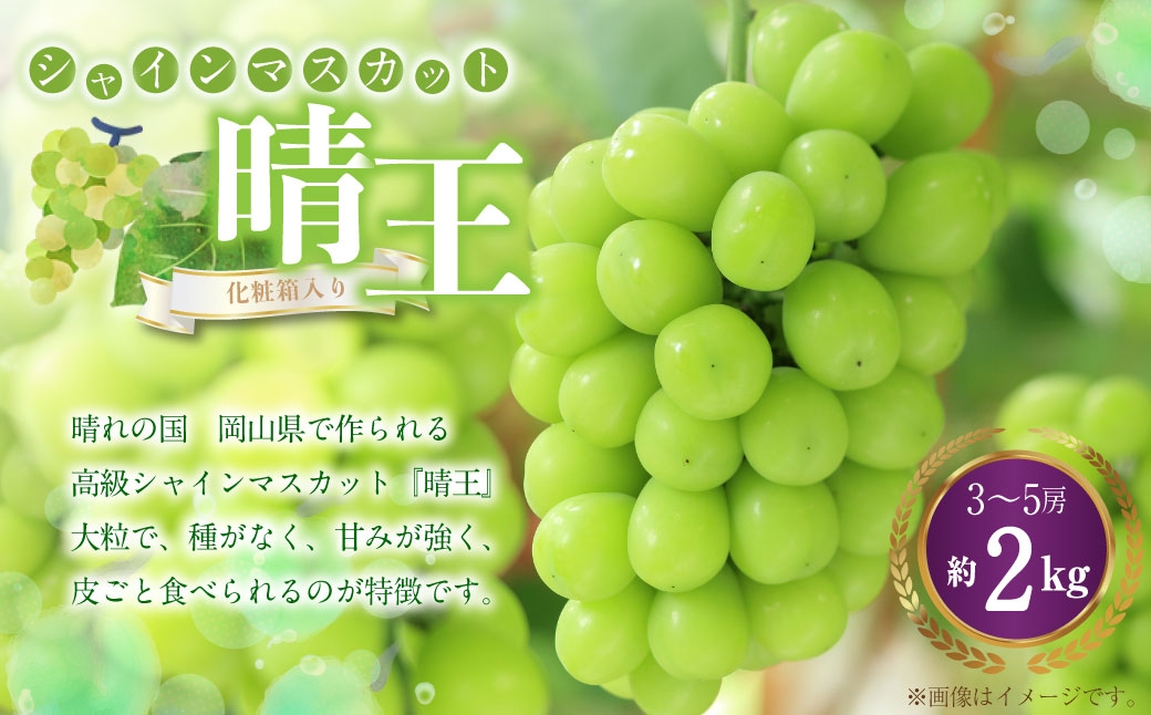 
                  シャインマスカット 晴王 3～5房 （ 約2kg ） マスカット ぶどう ブドウ 葡萄 フルーツ 果物 くだもの 岡山県産 国産 【 2026年8月下旬～11月上旬迄順次発送予定 】 
                