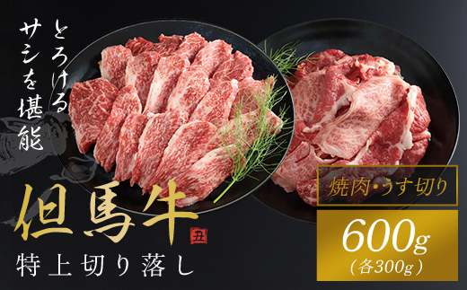 【但馬牛】特上切り落し（焼肉・うす切り）計600gセット / 神戸牛 神戸ビーフ 黒毛和牛 国産牛 ブランド和牛 切り落とし肉 切り落とし 焼肉 焼き肉 薄切り うす切り肉 牛切り落とし 兵庫県 朝来市 AS1CA21