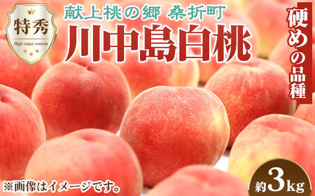 No.098 もも【川中島白桃・2026年産先行受付】特秀　3kg　桑折町産　JAふくしま未来　桃 ／ モモ 果物 くだもの フルーツ 甘味 果汁 ジューシー 桑折 こおり こおりまち 福島県 特産品
