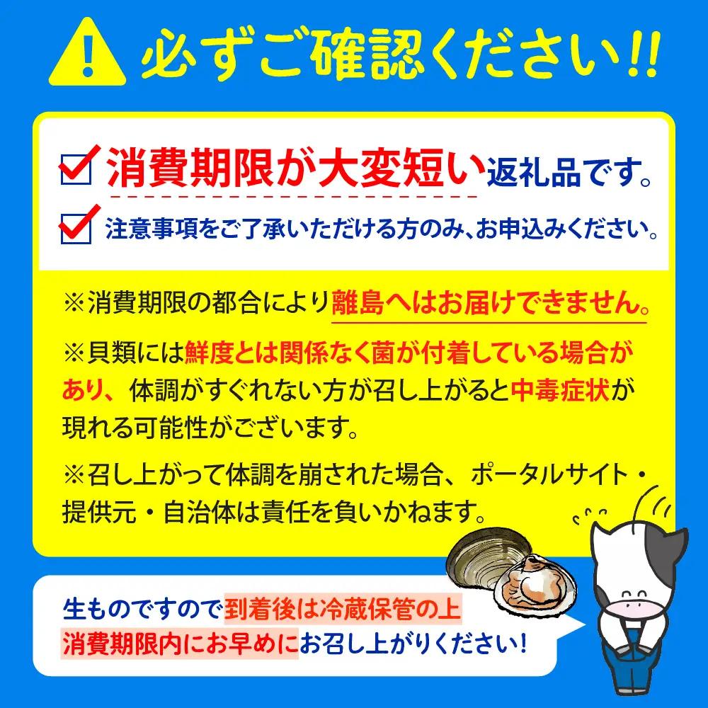 【数量限定】獲れたて直送 ホッキ貝 約2kg | ホッキ貝 豊富町