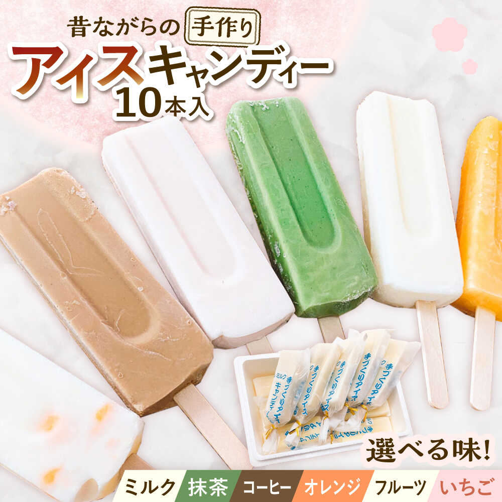 【ふるさと納税】【選べる6種類】手作り アイスキャンディー 10本入り 無香料 無着色 多治見市 / エイシン アイス 詰め合わせ 無添加 自家製[THD005]