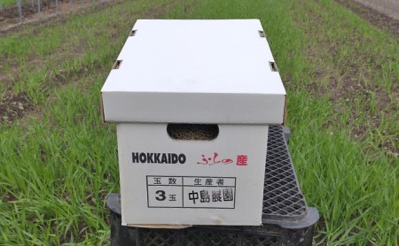 【2024年7月～発送】北海道 富良野市 ふらの赤肉 メロン 2kg×3玉 (中島農園) メロン フルーツ 果物 新鮮 甘い 贈り物 ギフト 道産 ジューシー おやつ ふらの ブランド 夏 