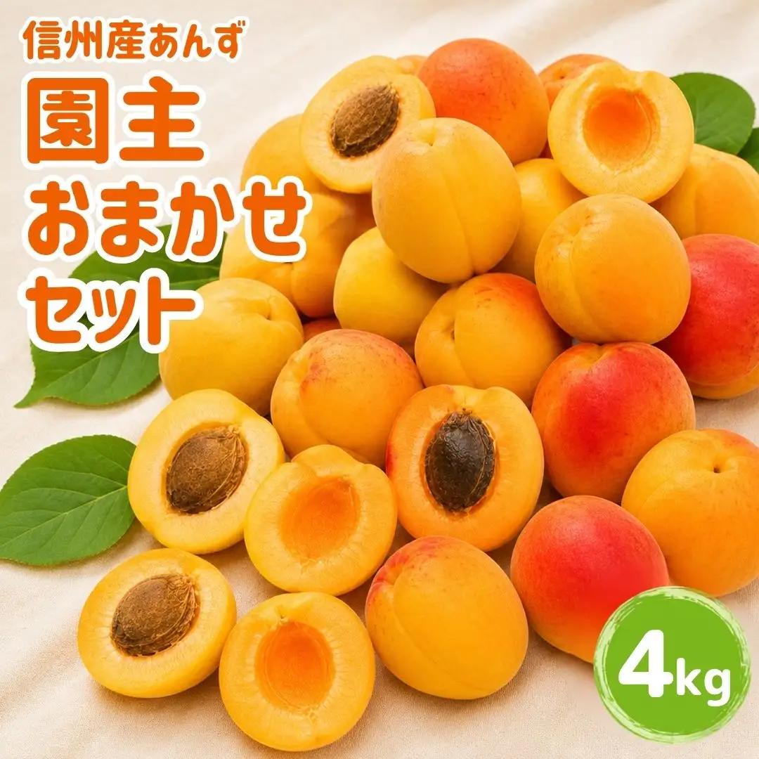 【2027年先行予約】あんず 園主おまかせ セット 計約4kgバラ詰 |あんず 昭和 信州大実 さつき 千曲市産 長野県 信州