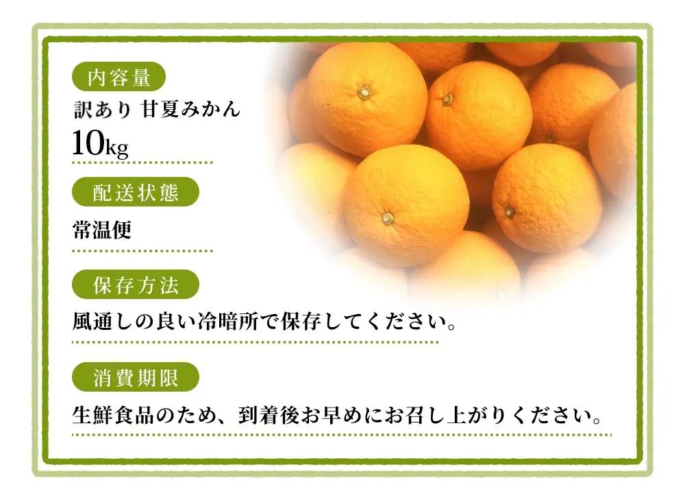 【訳あり】 森本農園の手選別 甘夏みかん 約10kg 和歌山県産 サイズ混合 【北海道・沖縄・離島配送不可】【2027年4月上旬～5月中旬頃に順次発送】【BV-mrmt146】