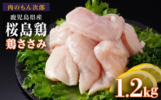桜島鶏ささみ（特製ブライン液仕込み・下味付き）　小分けパック　1.2kg（4パック）