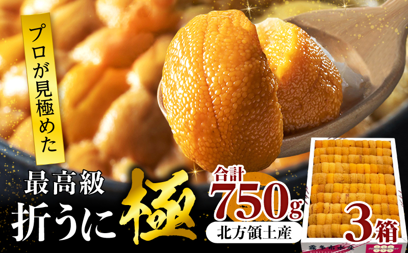 ≪プロ厳選≫最高級折うに(極)計750g うに ウニ 雲丹 折うに 海鮮 海産物 北海道 浜中町 ふるさと納税 人気_H0014-009