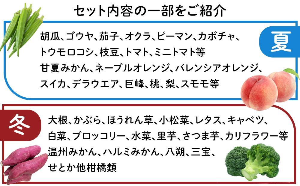 【年4回お届け（3・6・9・12月）】紀南の採れたて野菜・フルーツ定期便（春・夏・秋・冬）8〜15品目詰め合わせ