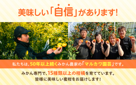 極甘みかん丸 5kg 定期便6回 温州 みかん