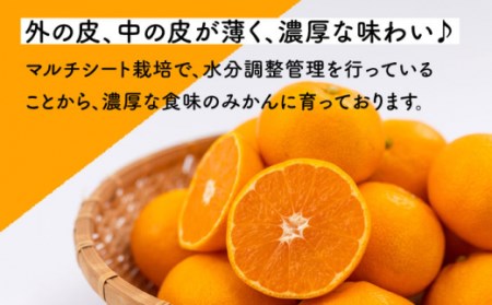 【先行予約】原口早生みかん 約5kg[OCU003]みかん柑橘みかん柑橘みかんみかん