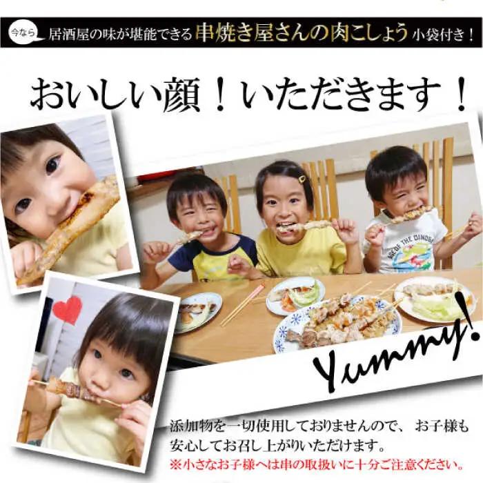 【12回定期便】九州産 焼き鳥セット 鶏もも 30本 / やきとり ヤキトリ 焼鳥 串セット 国産 冷凍 小分け / 南島原市 / ふるさと企画[SBA086]