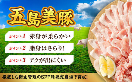 【全12回定期便】五島美豚 ロース・バラ 焼肉セット1kg 五島市 / ごとう農業協同組合 [PAF015] 豚肉 国産 豚ロース 豚バラ 焼肉 豚肉 国産 豚ロース 豚バラ 焼肉 豚肉 国産 豚ロー