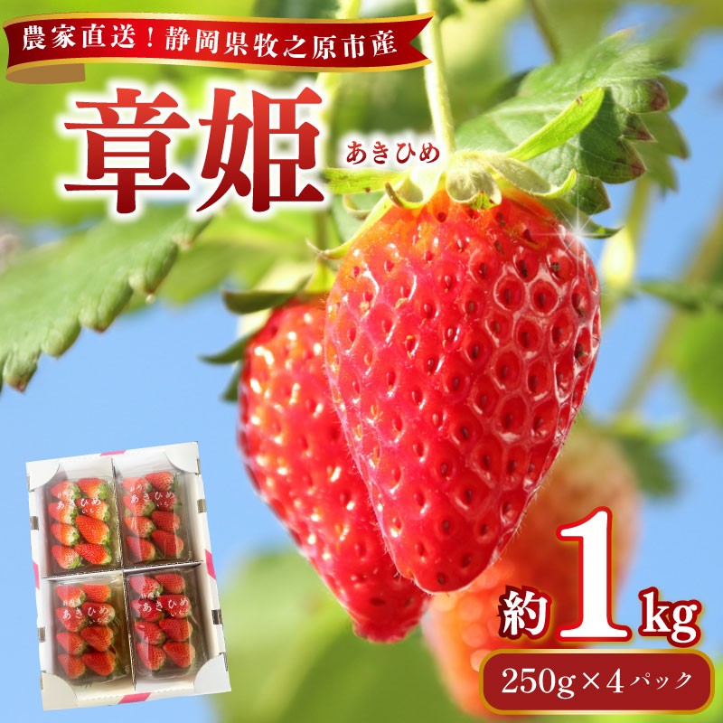 
                  【先行予約】章姫 250g×4パック 約1kg以上 苺 あきひめ 章姫 イチゴ 果物 数量限定 いちご イチゴ 苺 フルーツ くだもの スイーツ デザート ストロベリー おやつ 直送 ギフト 家庭用 贈答用 贈答 ギフト 贈り物 甘い ブランド ジャム スムージー アレンジ フルーツ大福 いちご大福 農家直送 産地直送 おいしい 期間限定 静岡いちご 静岡苺 国産 相良青果市場 牧之原市 静岡県
                