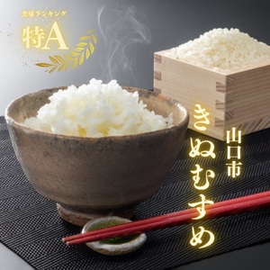 D395 農家直送！山口市産新米「きぬむすめ」精米5kg