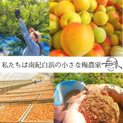 ふるさと納税 白浜町 無添加調味料 梅農家の手作り完熟梅酢 紀州小阪農園 |  | 02