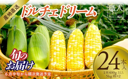 【2025年6月中旬から発送】とうもろこし「ドルチェドリーム」24本入り 1本400g以上 5kg箱×2 株式会社アグリ甲斐（山梨県市川三郷町産） [5839-2216]
