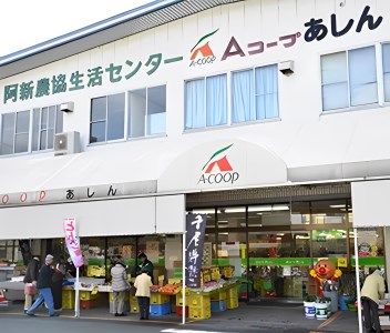 【定期便】阿新産桃太郎トマト 1箱 約4kg 16～20玉 3か月連続お届け 【7～9月限定】