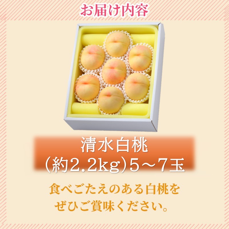 2026年 早期受付 岡山県産 清水白桃 (約2.2kg)5～7玉 桃 白桃 も
