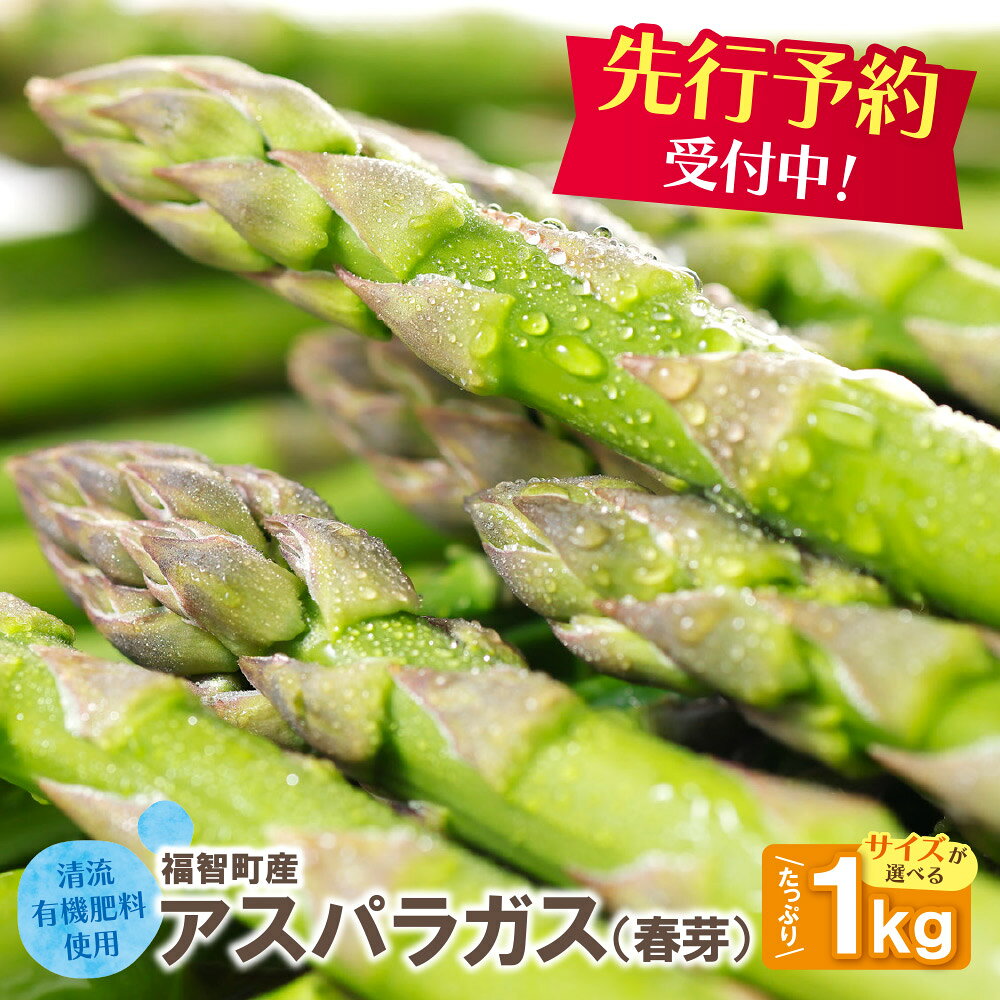 【ふるさと納税】2027年発送 選べるサイズ 清流・有機肥料使用 アスパラガス(春芽) 1kg 先行予約 期間限定 数量限定 朝採り アスパラ アスパラガス 野菜 新鮮 旬 とれたて お取り寄せ 福岡県 福智町 国産 九州産 送料無料 《 予約受付 》