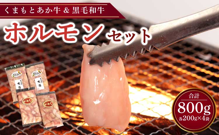 くまもとあか牛・くまもと黒毛和牛ホルモンセット 合計800g (200g×4袋)