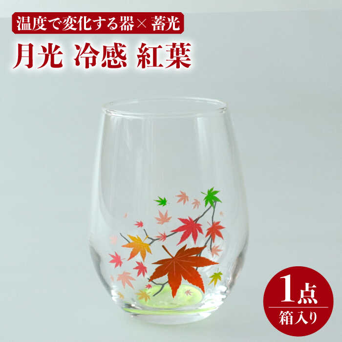 【ふるさと納税】温度で変化する器 × 蓄光『月光 冷感 紅葉』【丸モ高木陶器】≪多治見市≫ 食器 [TBA153]