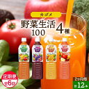 【ふるさと納税】 【定期便】 2ヵ月毎 全6回 カゴメ 野菜生活100 飲み比べセット スマートPET 720ml 4種 計12本 栃木県 那須塩原市 オリジナル ベリーサラダ マンゴーサラダ アップルサラダ 野菜 果実 ミックスジュース 野菜ジュース フルーツジュース 飲料 送料無料