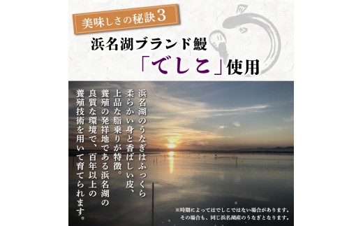 【2026年11月～順次発送】うなぎ蒲焼 1人前 1尾 冷蔵 三島名物 老舗 鰻問屋 うなぎ 蒲焼き 鰻 ウナギ 真空パック 浜名湖 土用丑の日 贈答用 惣菜 うな重 うな丼 伝統 贈り物 鰻料理 ウ