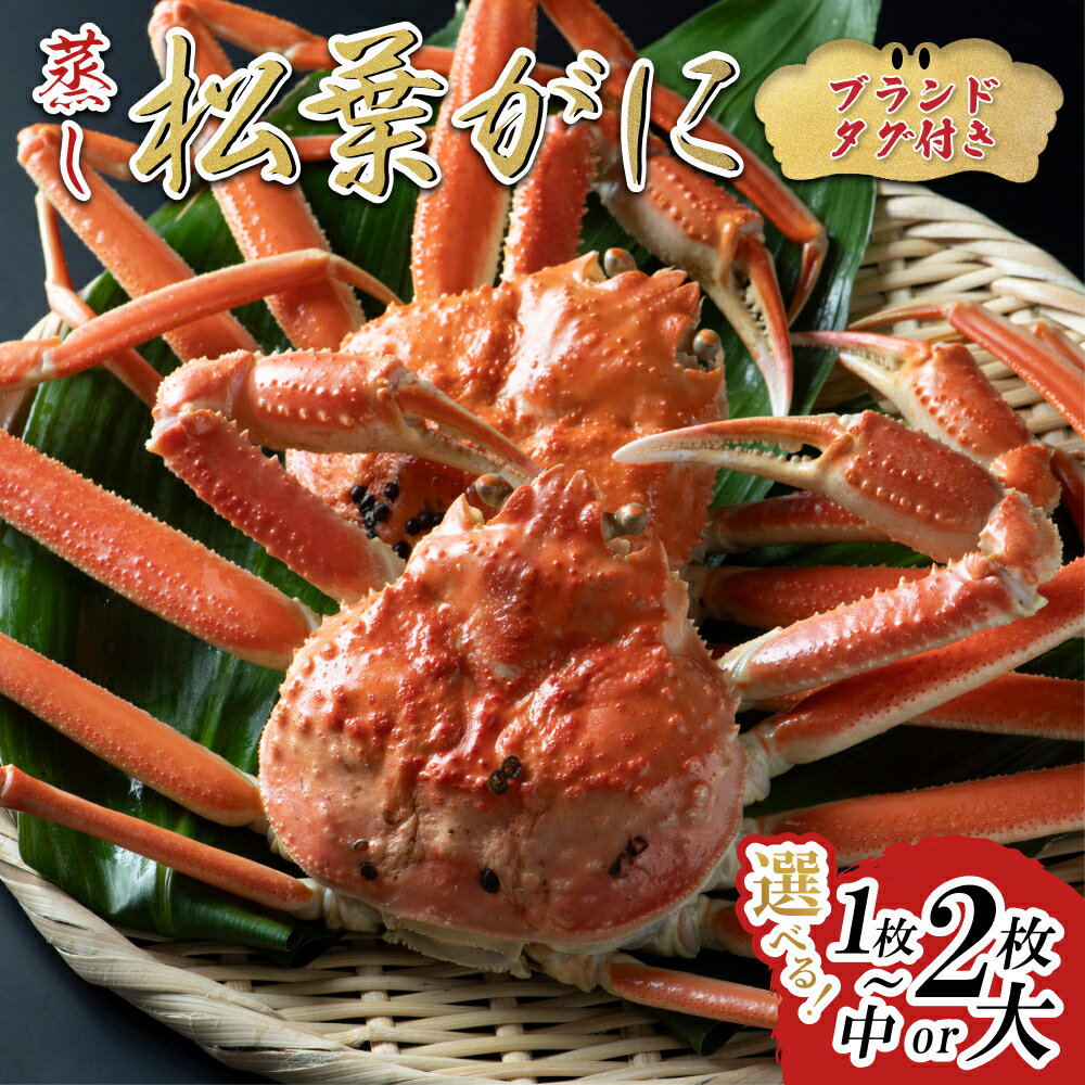 【ふるさと納税】【先行予約】【蒸し】ブランドタグ付き松葉ガニ 1～2枚｜鳥取県 かに ずわいがに 大1枚、2枚、中2枚 発送11月～