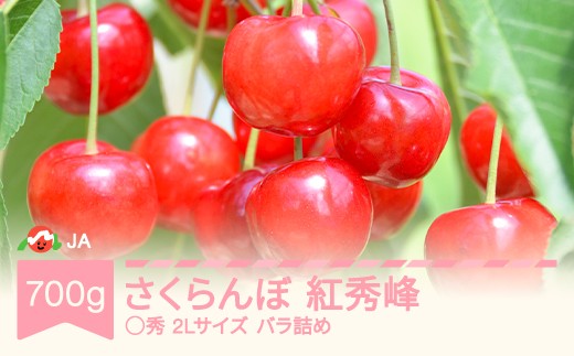 
                  先行予約 さくらんぼ 紅秀峰 700gバラ ◯秀2L玉以上 2027年産 令和9年産 ja-bsslb700
                