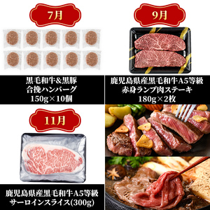a1035 《定期便全6回》黒毛和牛満喫セット(計4.26kg)サーロインステーキ・切り落とし・カイノミ焼肉・ハンバーグ・赤身ランプステーキ・サーロインスライスの定期便【水迫畜産】国産 鹿児島産 肉 