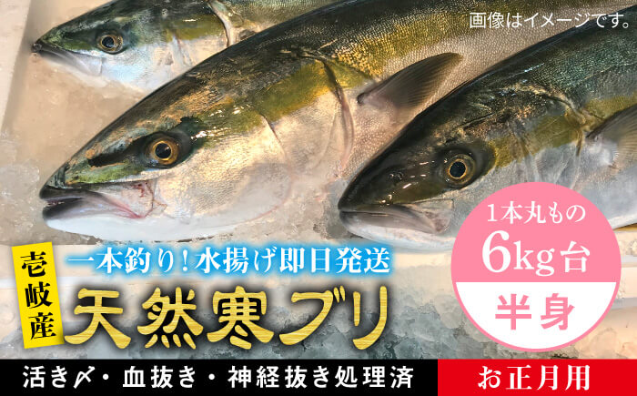 ※12/20-1/15配送【年末年始用】壱岐島産天然寒ブリ（一本丸ものサイズ6キロ台の半身ブロック） [JBS020] 68000 68000円