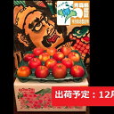 【ふるさと納税】りんご 【 12月発送 】 訳あり 家庭用 葉とらず サンふじ 約 10kg 青森県特別栽培農産物認証農園 【 弘前市産 青森りんご 果物類 林檎 リンゴ 】　お届け：2024年12月1日～2024年12月30日