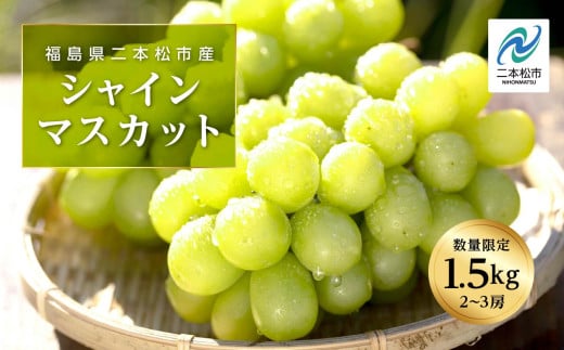 《2025年9月中旬以降発送》羽山のぶどうシャインマスカット1.5kg ぶどう シャインマスカット フルーツ 果物 ブドウ 葡萄 旬 グルメ おいしい 人気 ランキング おすすめ ギフト 福島 ふくしま 二本松市 送料無料【羽山果樹組合】