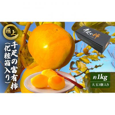 ふるさと納税 綾川町 極上! 千疋の富有柿(化粧箱入り) [54010104]