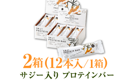 シーベリープロテインバー ２箱（24本入り）シーベリーとソイプロテインの低糖質バー 動物性不使用 保存料不使用 毎日の栄養バランス サジープロテインバー 豆 栄養食 朝食 岐阜市/宝島ジャパン[AND