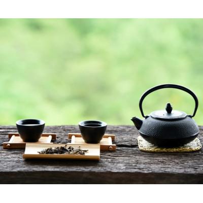 ふるさと納税 嘉麻市 八女茶【上】煎茶セット　100g×2袋(嘉麻市) |  | 01