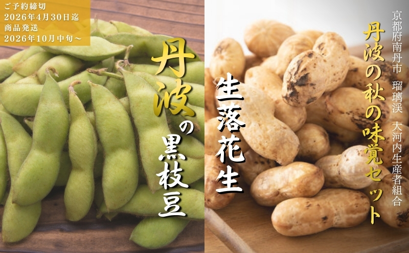 枝豆 京都 2026年 先行予約 黒枝豆 生落花生 るり渓 大河内生産組合発 丹波 野菜 国産 生 落花生 おつまみ えだまめ エダマメ 先行 ※北海道・沖縄・離島への発送不可