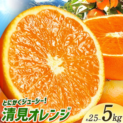 とにかくジューシー 清見 オレンジ 約2.5kg 約5kg 株式会社魚鶴商店《2027年3月下旬-5月上旬頃出荷》和歌山県 日高川町 柑橘 果物 フルーツ 清見オレンジ