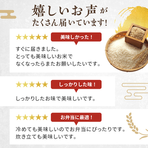 米 定期便 12ヶ月 銀河のしずく 無洗米 30kg(5kg×6) お米 精米 白米 こめ コメ おこめ ごはん お米マイスター 推奨 ブランド米 常温 国産 岩手県 岩手 盛岡市産 定期 お楽しみ 