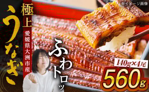 うなぎ蒲焼き 4尾セット（2尾×2箱） 大洲市/有限会社 樽井旅館 [AGAH002] うなぎ ウナギ 鰻 手焼き うなぎ ウナギ 鰻 国産 うなぎ ウナギ 鰻 うなぎ蒲焼 鰻重 うな丼 土用の丑 鰻 ウナギ お正月 クリスマス
