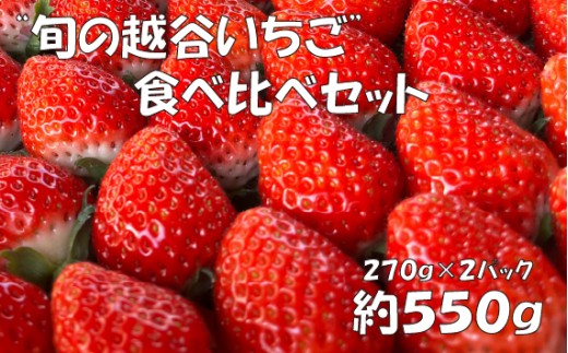 【旬の越谷いちご】食べ比べセット　550g ／ イチゴ 苺 果物 フルーツ 埼玉県 特産品 贈答 おいしい 越谷いちごみらい園 高品質 いちご あまえくぼ あまりん おいCベリー かおり野 堅しろう 天使のいちご べにたま 紅ほっぺ ほしうらら よつぼし 食べ比べ No.151