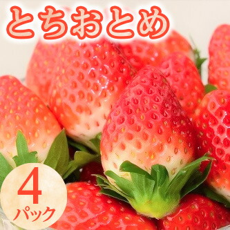 10-31【期間限定】とちおとめ（4パック）いちご 苺 イチゴ フルーツ 果物 数量限定 栃木県【オンライン決済限定】 ※着日指定不可 ※2023年1月中旬頃より順次発送予定