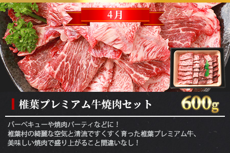 【定期便3回】総重量1.8kg！椎葉プレミアム牛 大自然の中で味わうBBQ定期便≪焼き肉・ステーキ≫