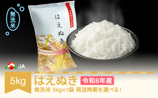 【先行予約】新米 米 5kg 5kg×1 はえぬき 無洗米 令和8年産 2026年12月下旬 ja-hamxb5-12c