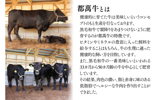 黒毛和牛『都萬牛』ロースステーキ 360g(約180g×2枚)<2-26>牛肉 ステーキ 肉 国産牛 黒毛和牛 宮崎県西都市 30日以内の発送となります。