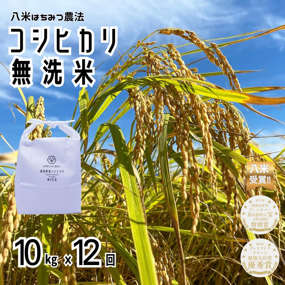 【ふるさと納税】【【令和8年産新米予約】【環境大臣賞受賞】【特別賞受賞】12ヶ月定期便 無洗米 コシヒカリ 10kg×12回 計120kg 農家直送 ほんのり甘い「はちみつ農法」 白米 精米 HACHIBEI 八米新潟県 米 こめ コメ 新米 新米予約 令和8年度産 10月中旬より順次発送