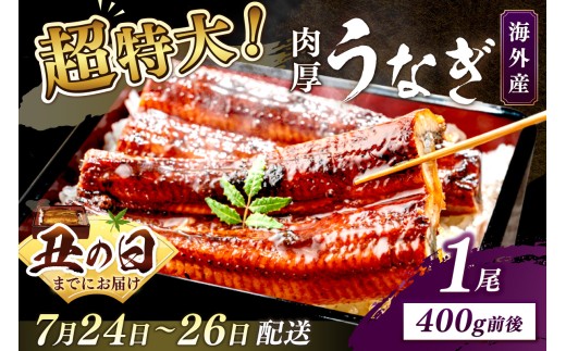 【7月24～26日配送】超特大！ふっくら肉厚！うなぎ蒲焼 1尾 400g前後 ふるさと納税 鰻 外国産 ウナギ 肉厚 蒲焼 鰻の蒲焼 有頭 蒲焼き　YK00402_01C