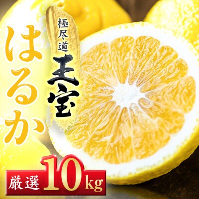 【愛媛名産】玉宝はるか　10kg【F64−57】【1511219】