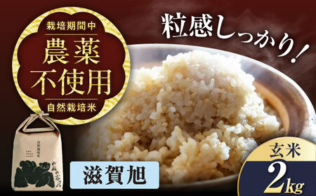 【先行予約】令和8年産 新米 滋賀旭 2kg 玄米 [AQCP038]